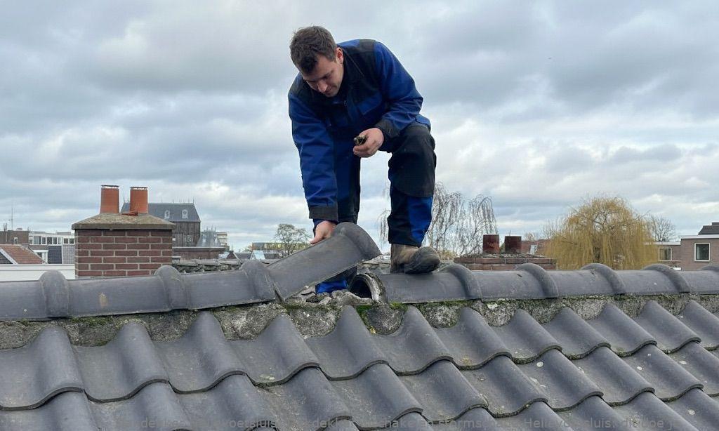 Dakdekker Inschakelen Stormschade Hellevoetsluis
