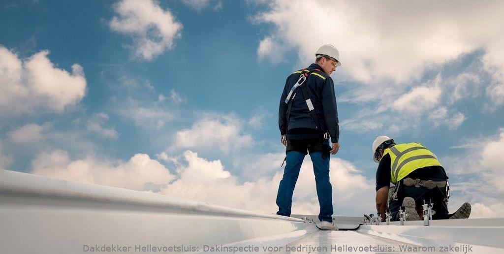 Dakinspectie Voor Bedrijven Hellevoetsluis