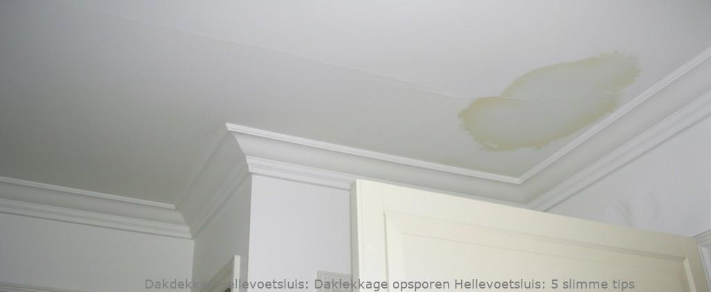 Daklekkage Opsporen Hellevoetsluis 1